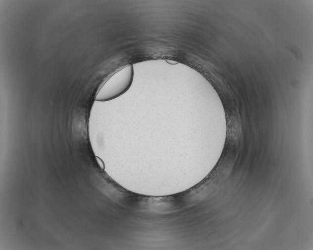 X0000112540622200909281100