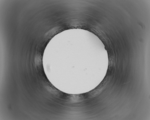 X0000112540623200909281100