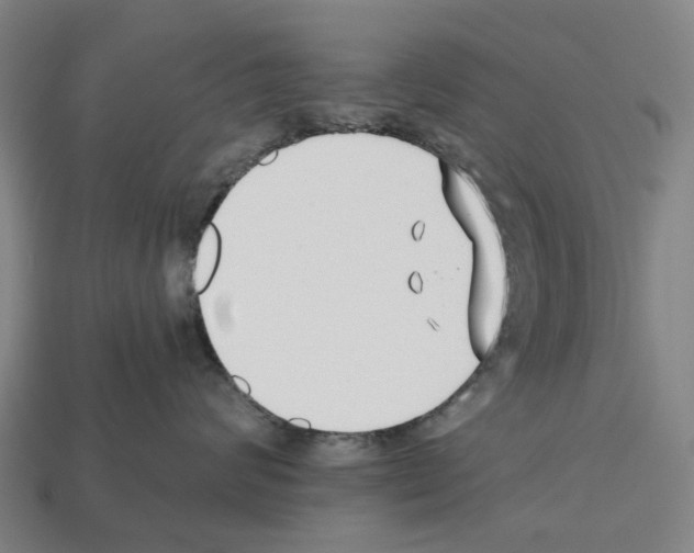 X0000112540624200909281100