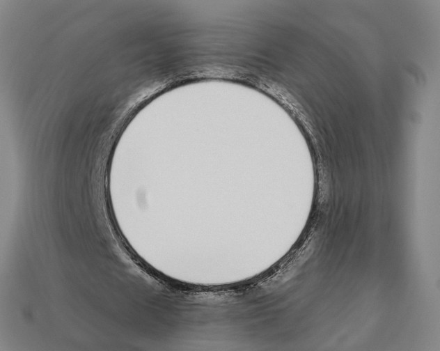 X0000112540625200909281100