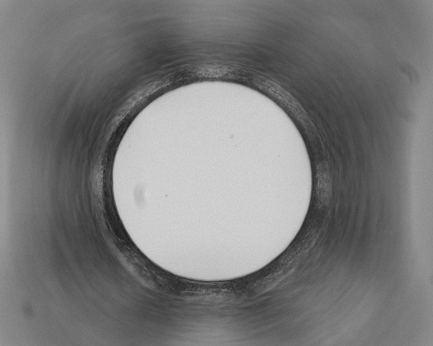 X0000112540626200909281100