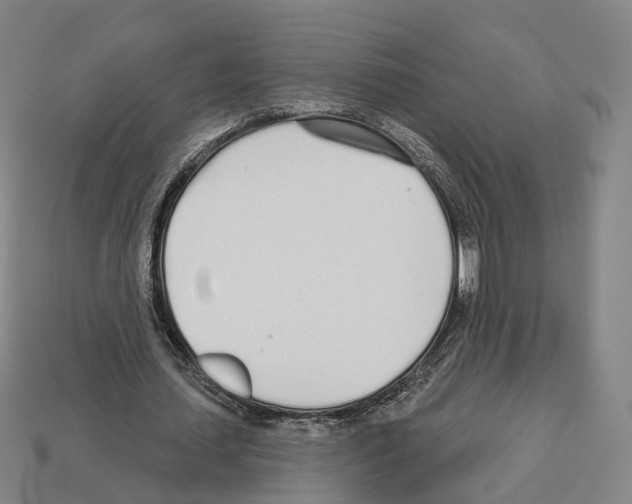 X0000112540627200909281100