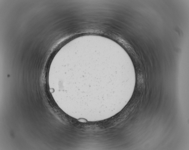 X0000112540628200909281100