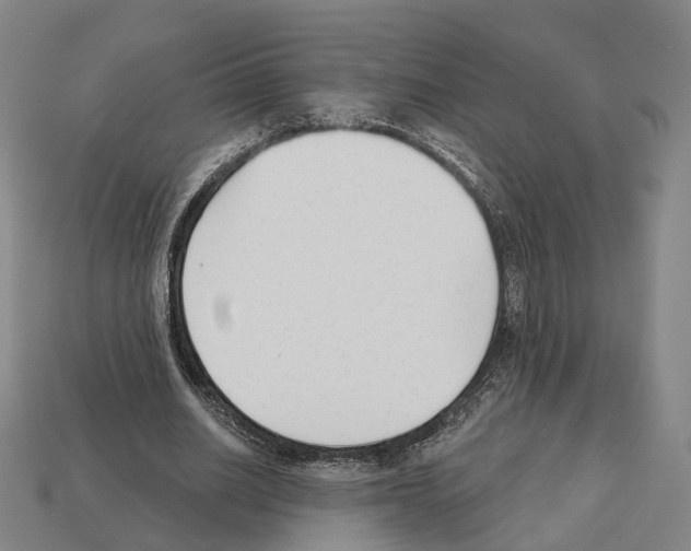X0000112540630200909281100