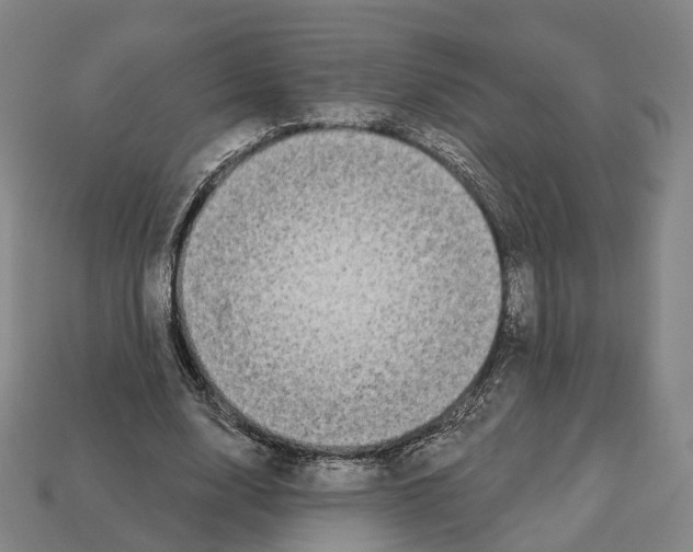 X0000112540632200909281100