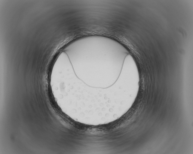 X0000112540634200909281100