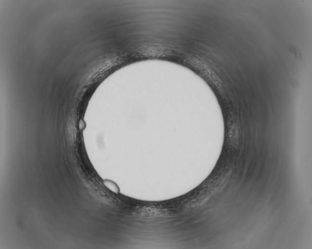 X0000112540635200909281100