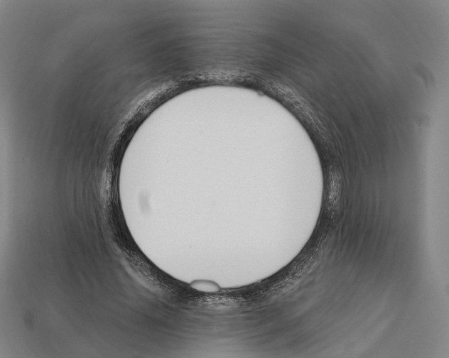 X0000112540636200909281100