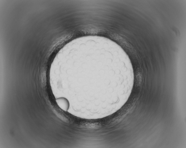 X0000112540638200909281100