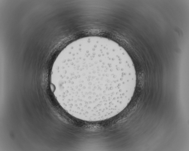 X0000112540642200909281100
