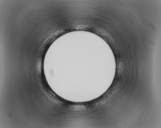 X0000112540644200909281100