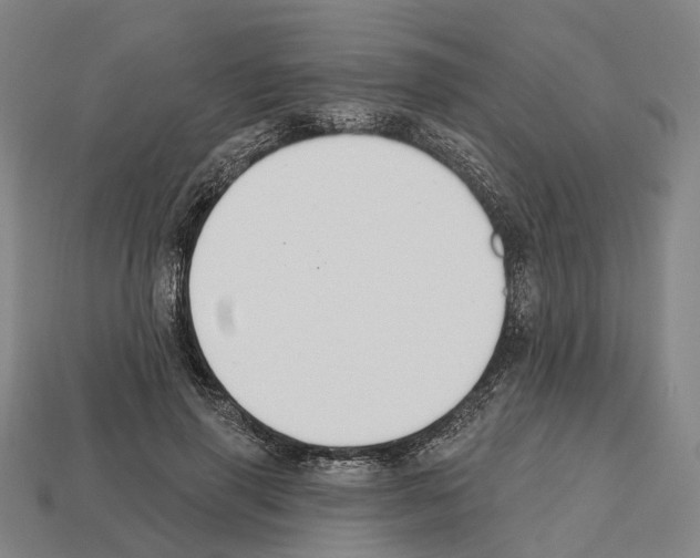 X0000112540645200909281100