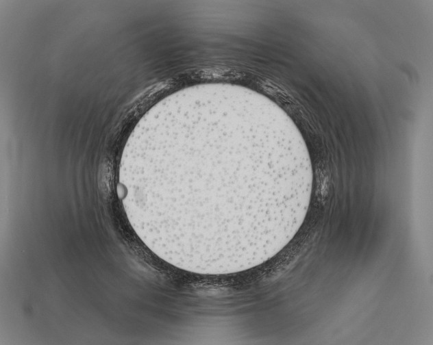 X0000112540648200909281100