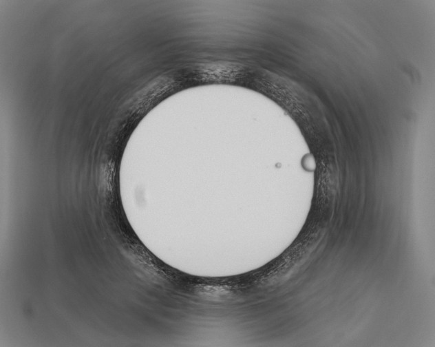 X0000112540649200909281100