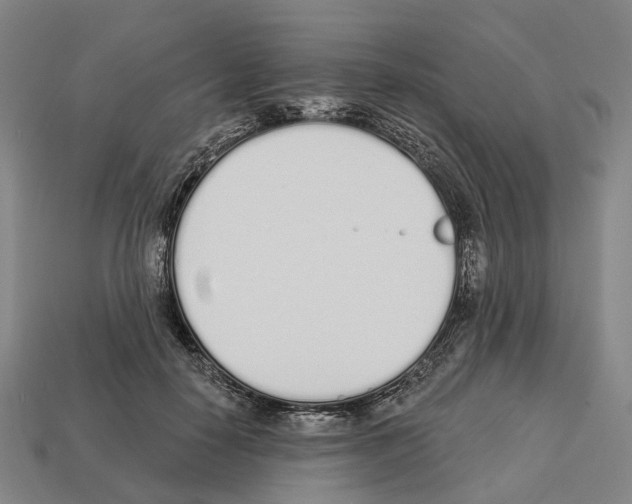 X0000112540650200909281100