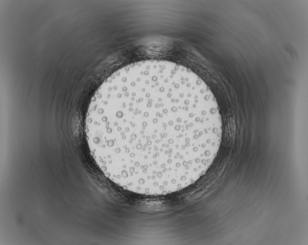 X0000112540651200909281100