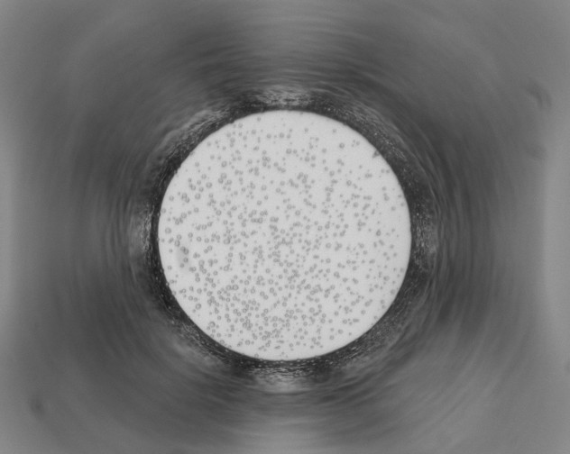 X0000112540652200909281100