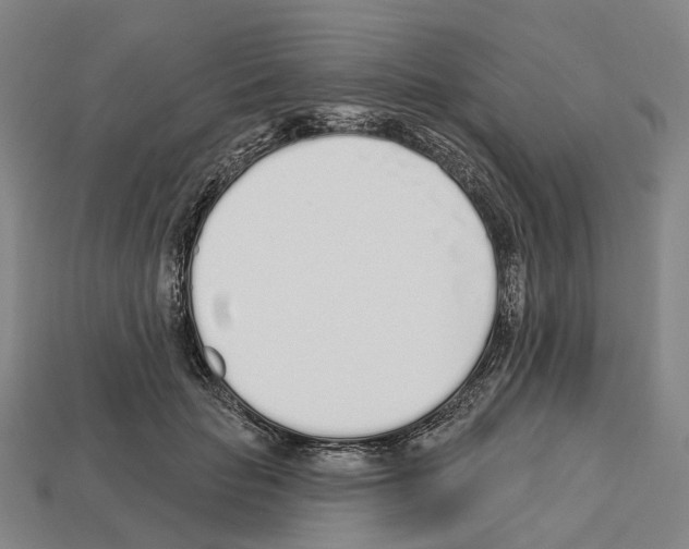 X0000112540653200909281100