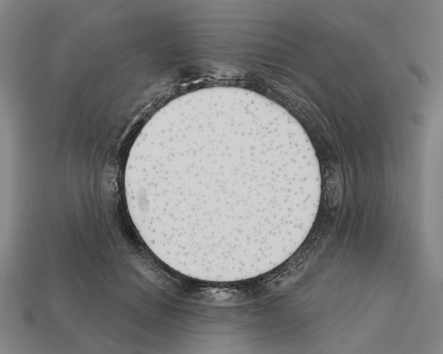 X0000112540654200909281100