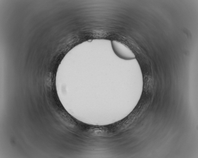 X0000112540655200909281100