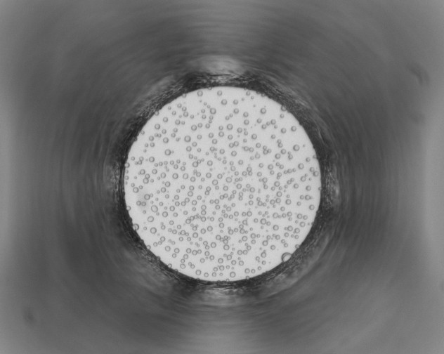 X0000112540657200909281100