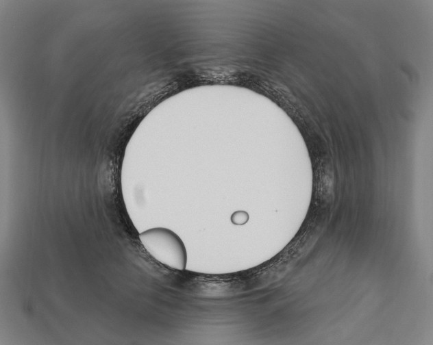 X0000112540658200909281100