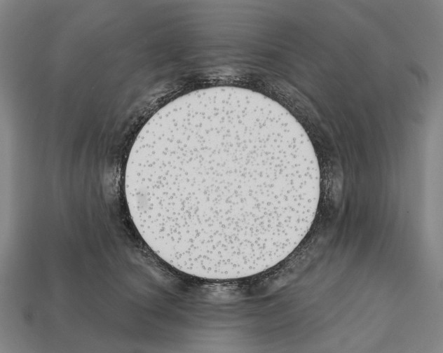X0000112540660200909281100