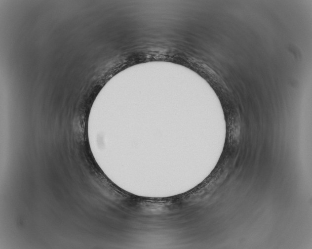 X0000112540661200909281100