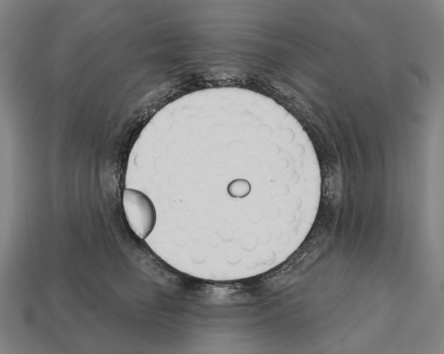 X0000112540662200909281100