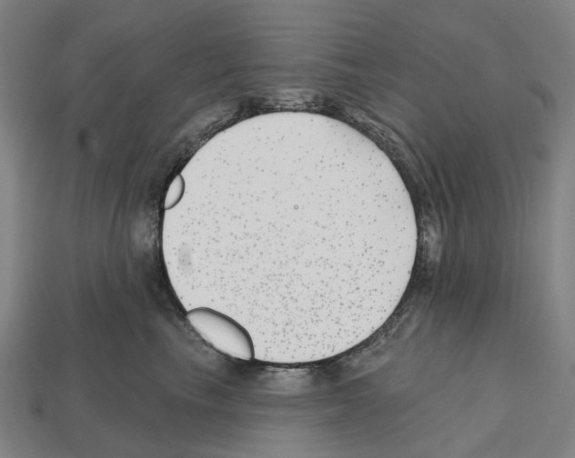 X0000112540665200909281100