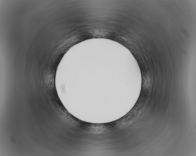 X0000112540666200909281100