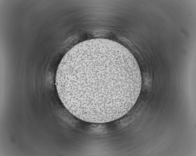 X0000112540667200909281100