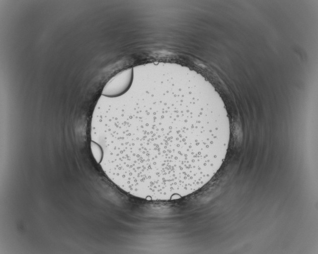 X0000112540668200909281100