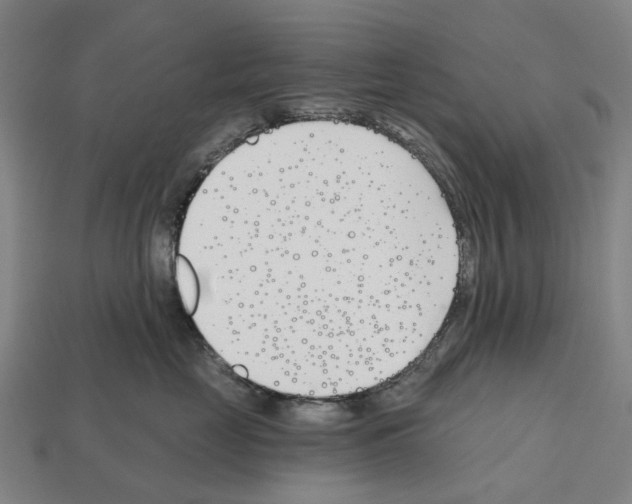 X0000112540669200909281100