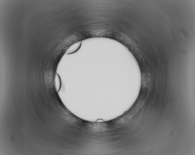 X0000112540670200909281100