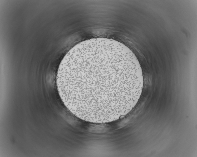 X0000112540671200909281100