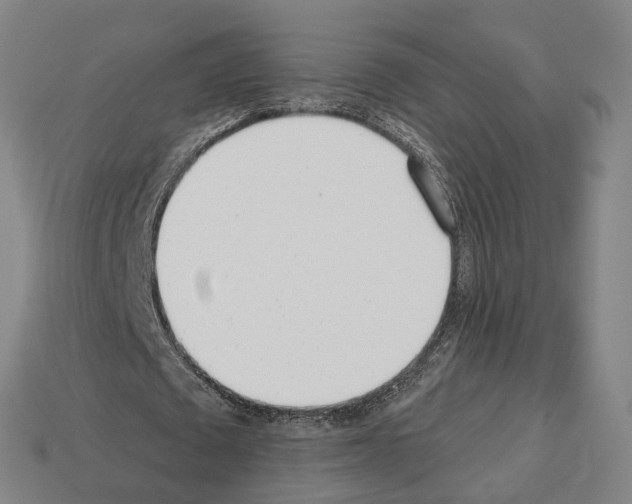 X0000112540673200909281100