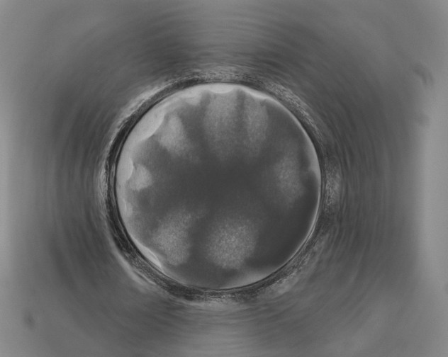 X0000112540674200909281100
