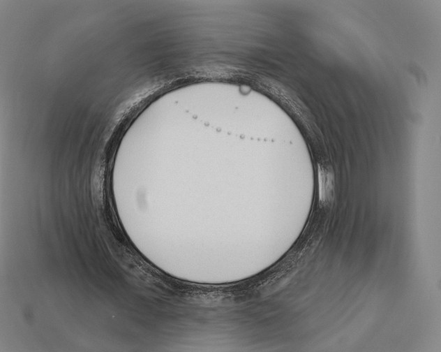 X0000112540675200909281100