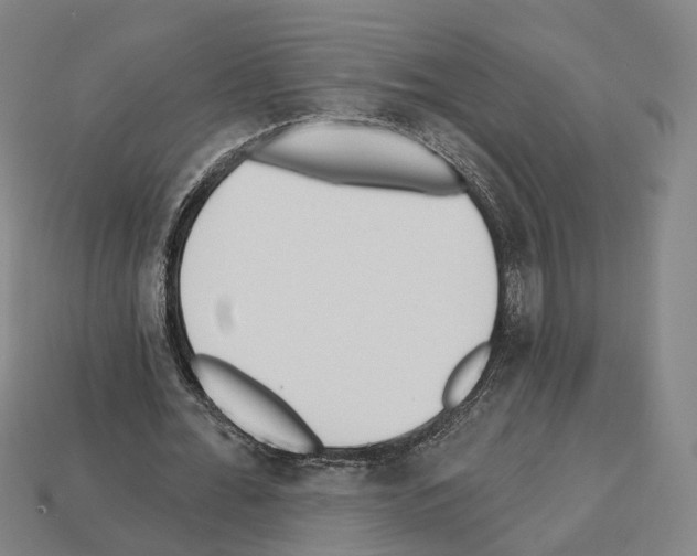 X0000112540676200909281100