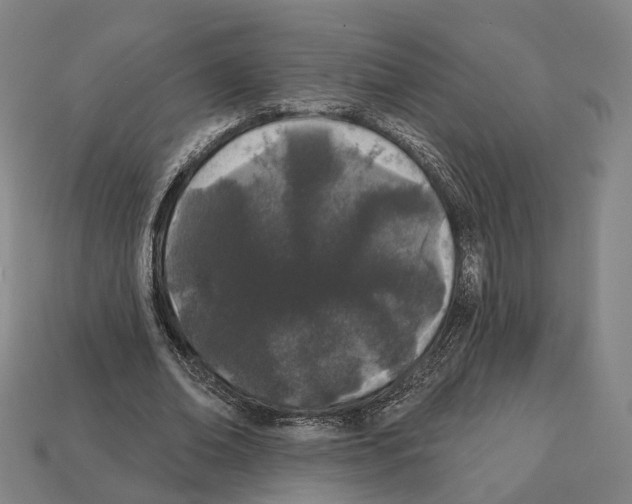 X0000112540678200909281100