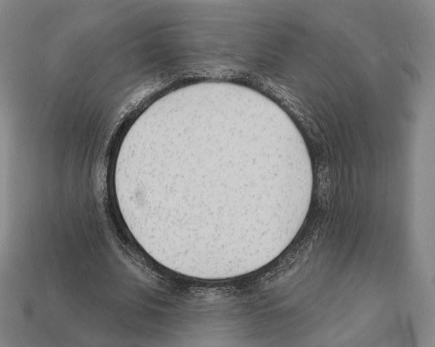 X0000112540679200909281100