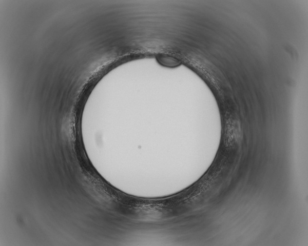 X0000112540680200909281100