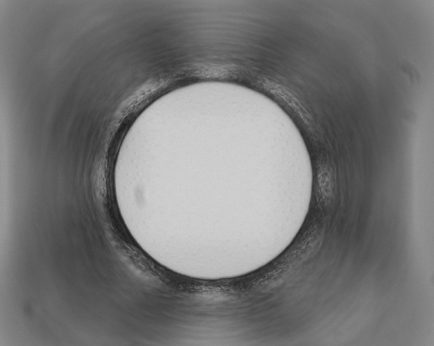 X0000112540682200909281100