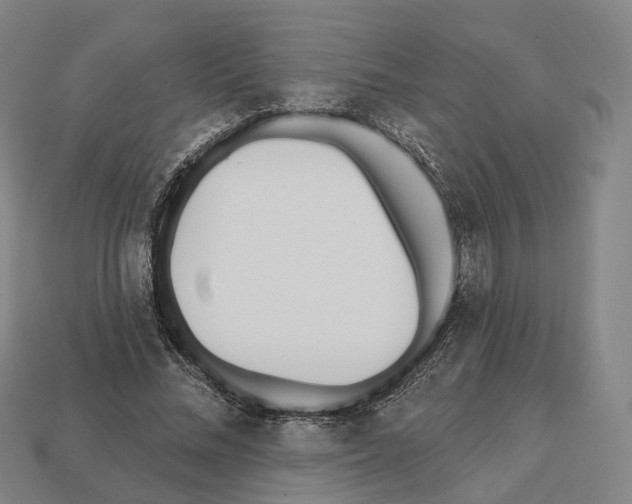 X0000112540684200909281059