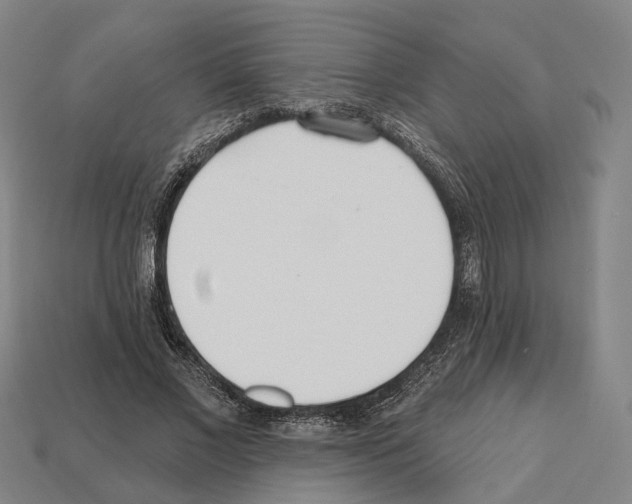 X0000112540685200909281059