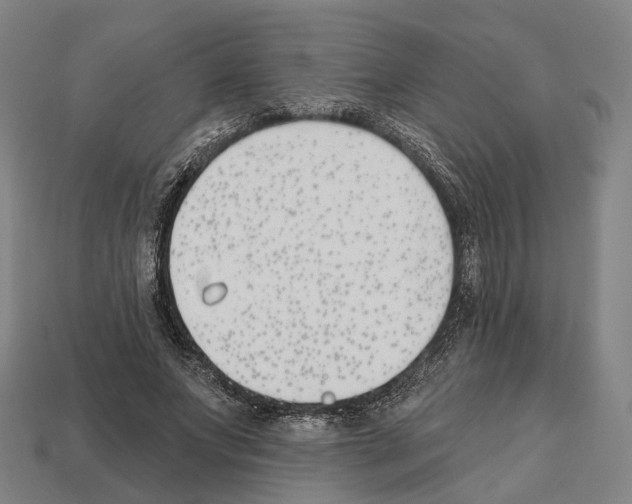 X0000112540687200909281059
