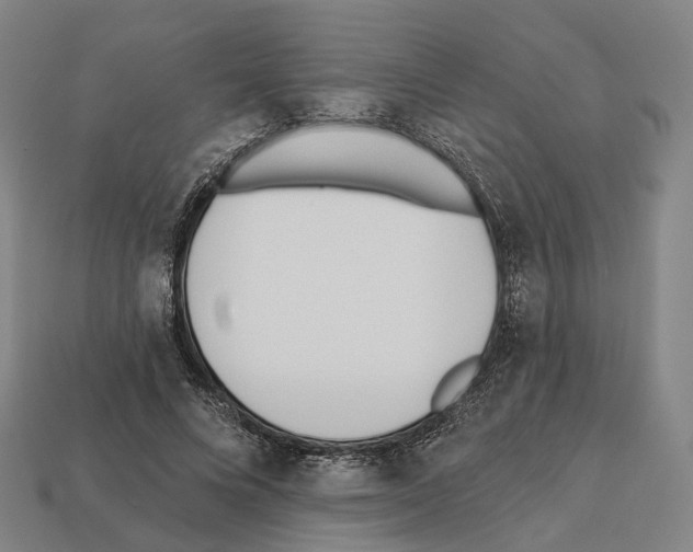 X0000112540688200909281059
