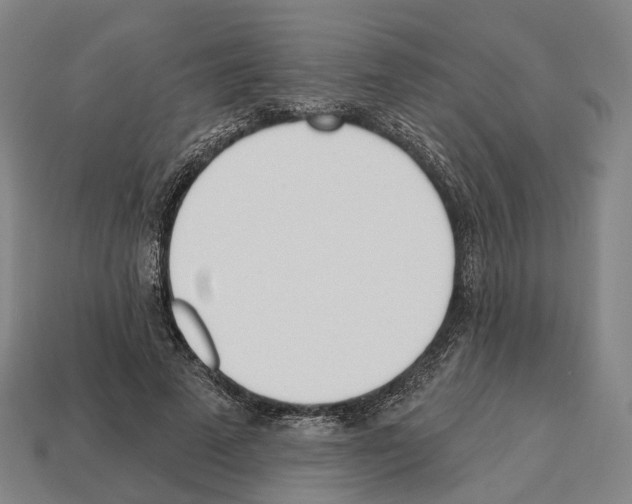 X0000112540689200909281059