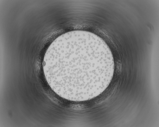 X0000112540691200909281059